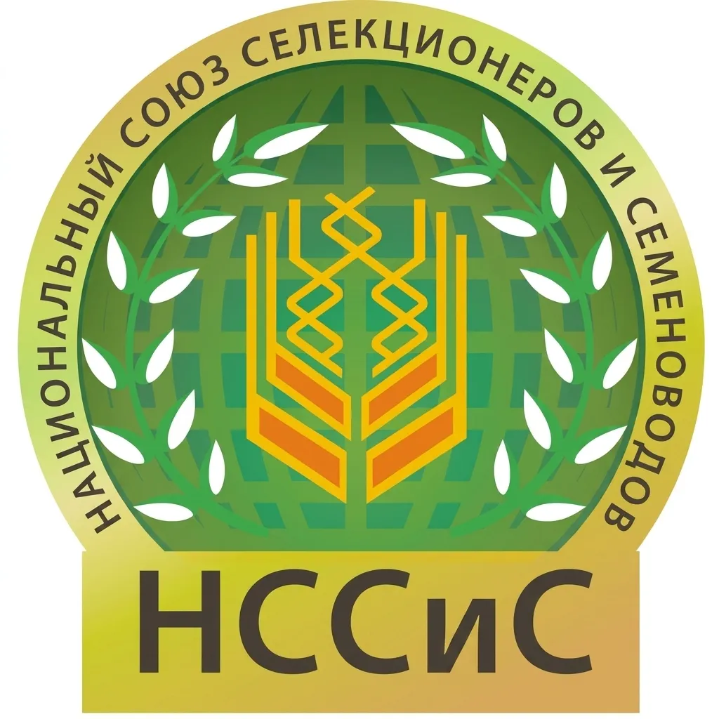 Логотип НССИС